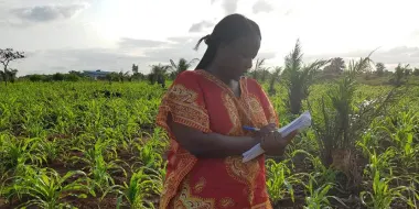 Dr Yeyinou Laura Estelle Loko does field work for her research. She is an Associate Professor of Zoology and Genetics at the National University of Sciences, Technologies, Engineering and Mathematics (UNSTIM) in the Republic of Benin. 